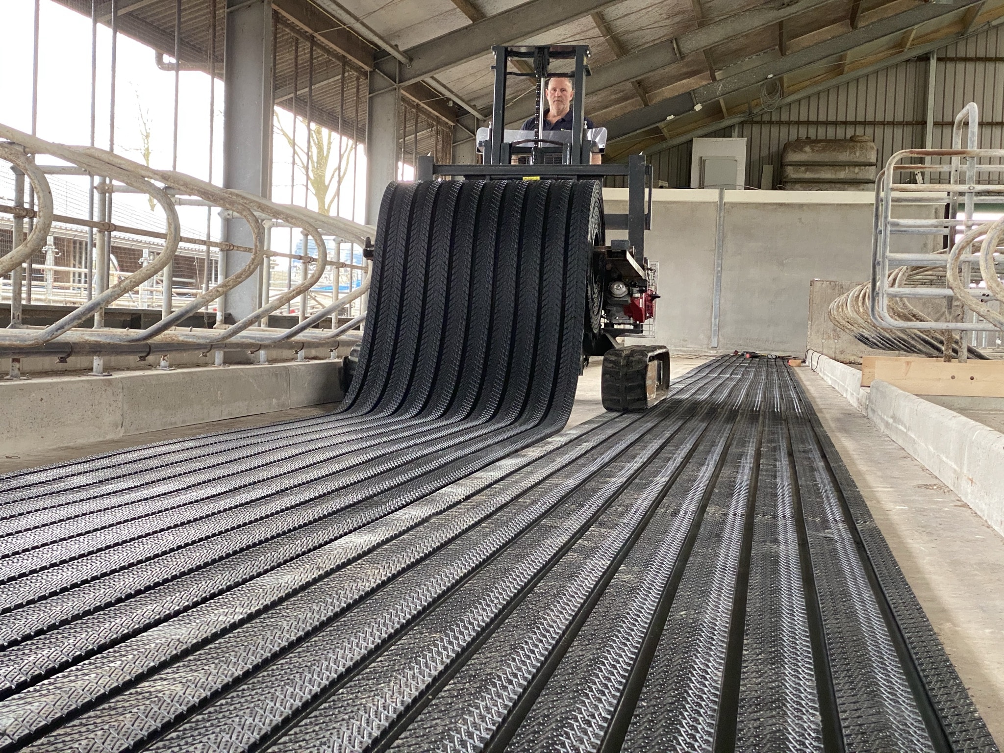 Montage van V1 Groove rubber stalvloer in melkveestal